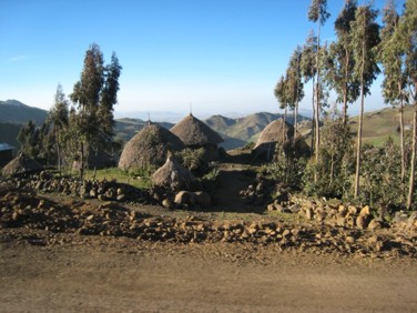 Thatched huts